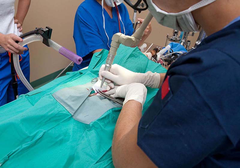 Khám trĩ bằng công nghệ laser có thật sự ít đau như lời đồn?